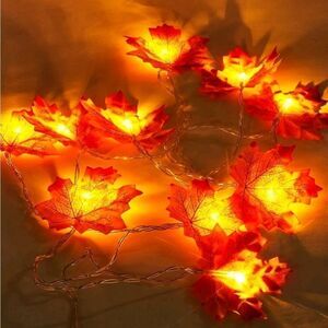 Maple Leaf 🍁 String Lights